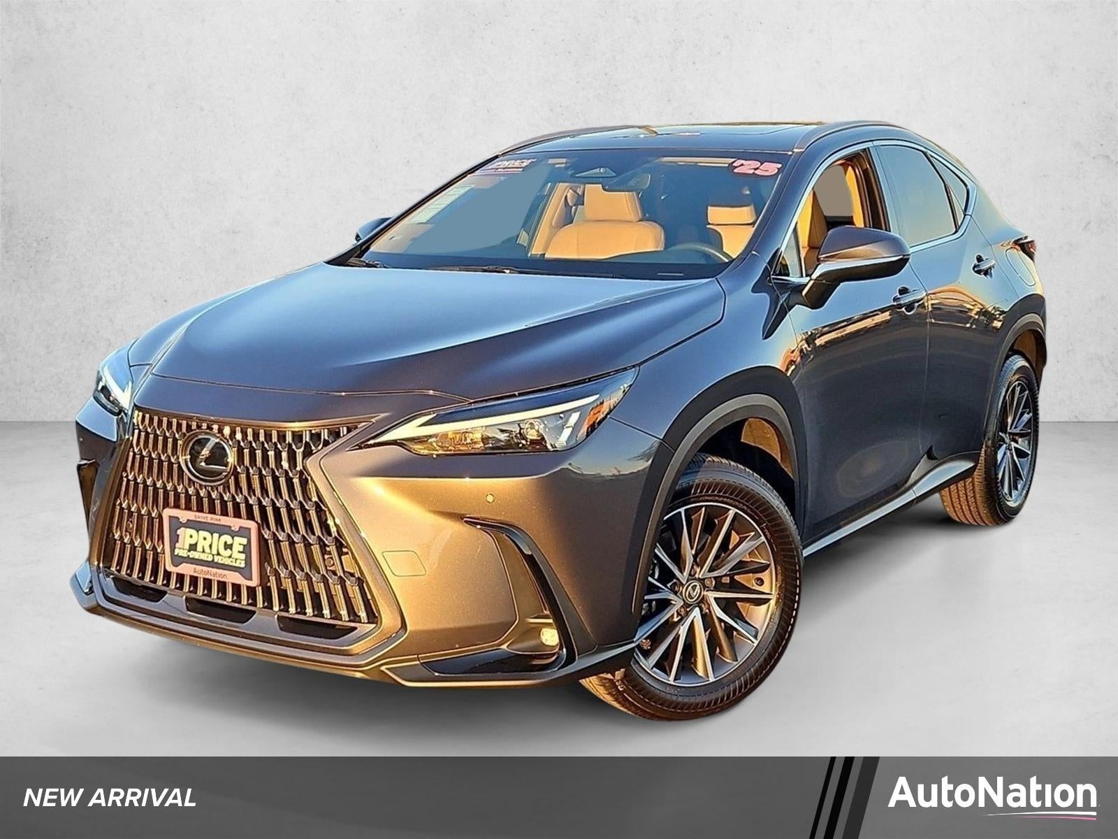 2025 Lexus NX 250 NX 250