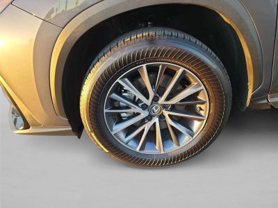2025 Lexus NX 250 NX 250