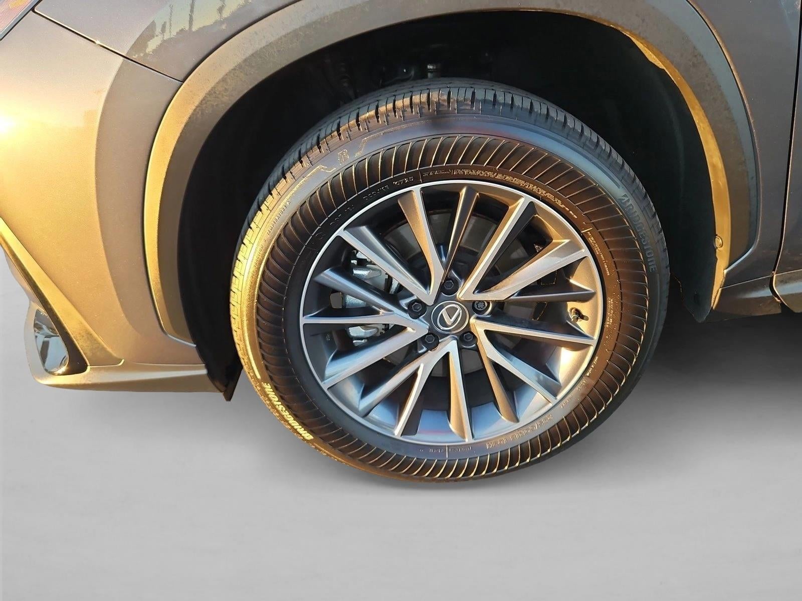 2025 Lexus NX 250 NX 250