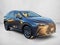 2025 Lexus NX 250 NX 250