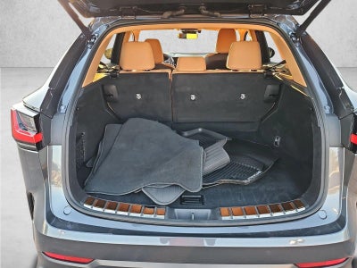 2025 Lexus NX 250 NX 250