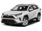 2019 Toyota RAV4 XLE FWD (Natl)