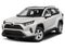 2019 Toyota RAV4 XLE FWD (Natl)