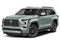 2024 Toyota Sequoia SR5 4WD (SE)