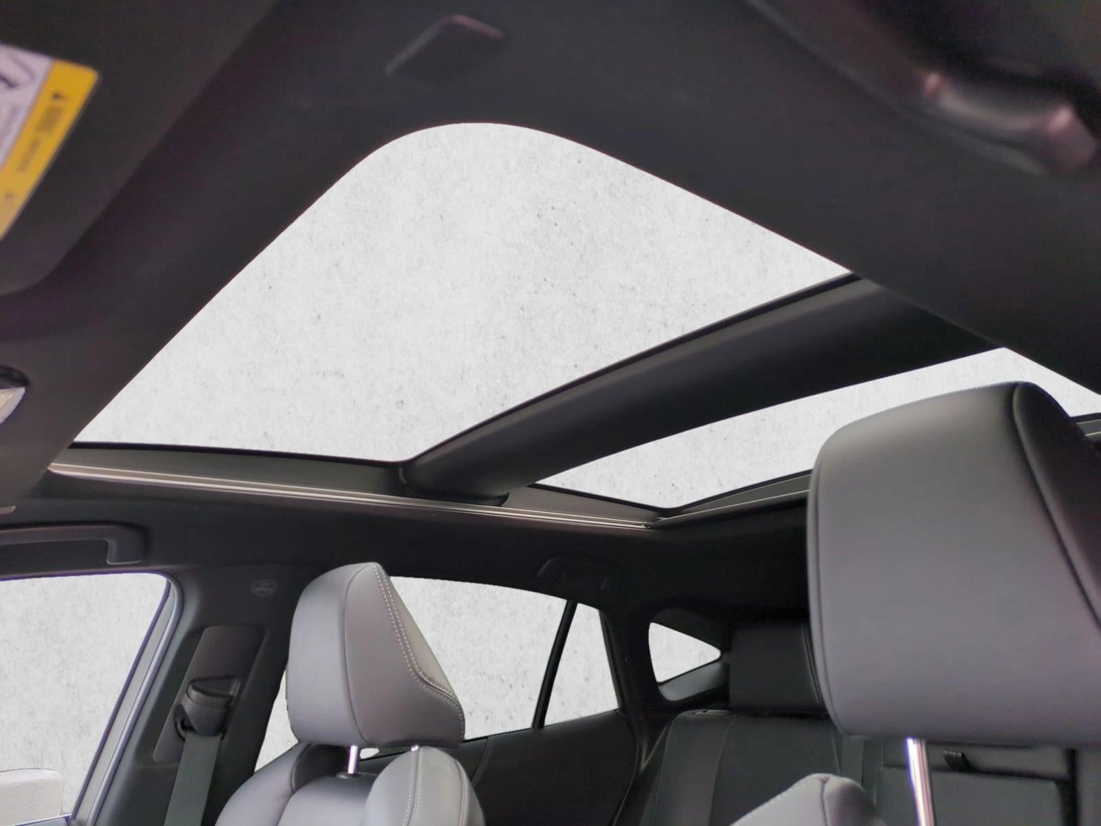 2024 Toyota Venza Nightshade AWD (Natl)