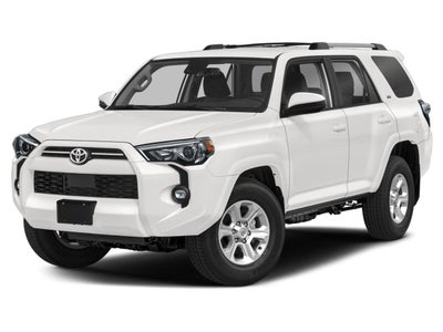 2023 Toyota 4Runner SR5 4WD (Natl)