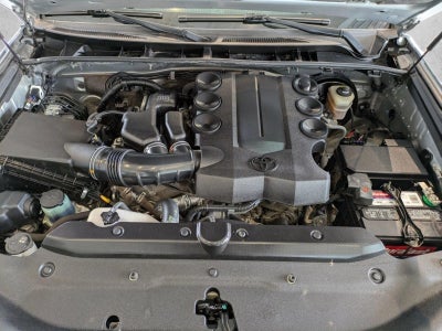 2019 Toyota 4Runner SR5 2WD (Natl)