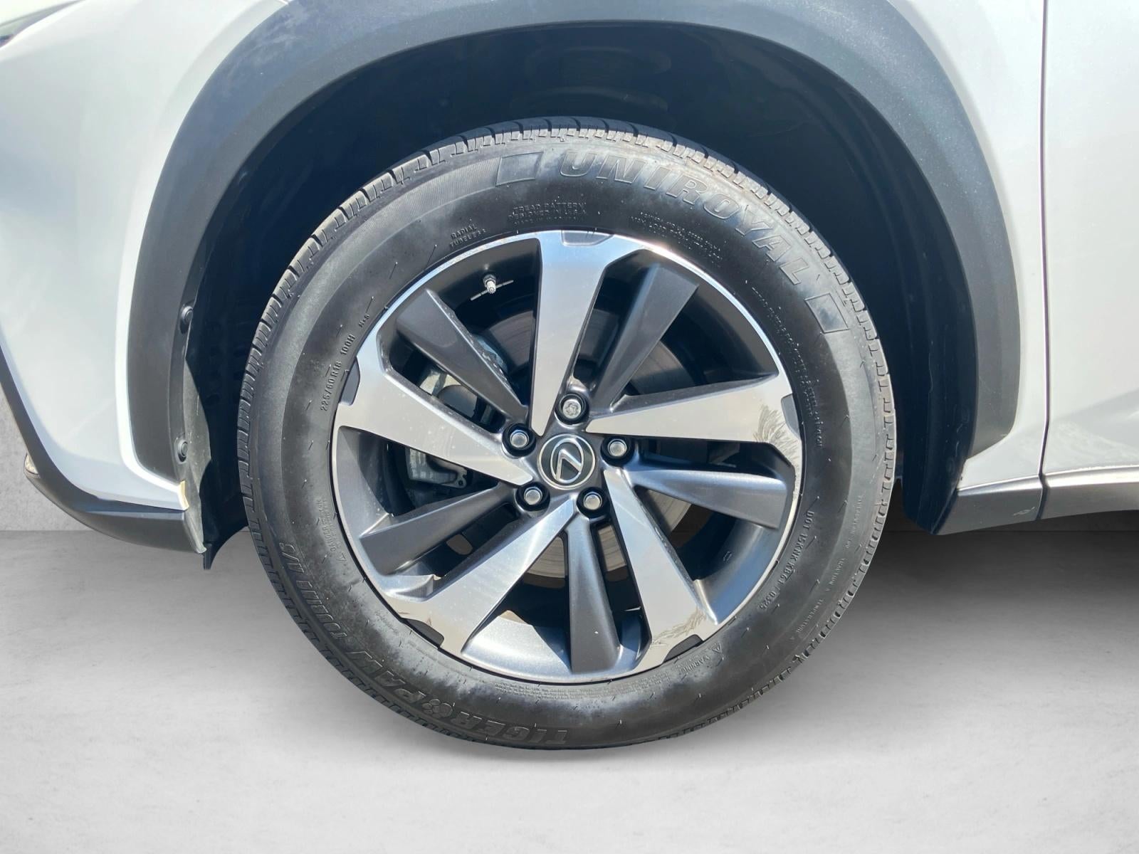 2019 Lexus NX 300h AWD
